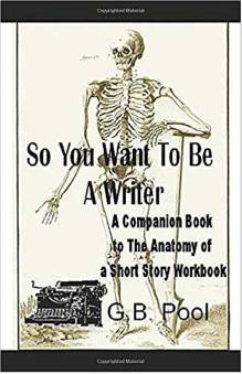 So You Want to be a Writer Amazon cover 2